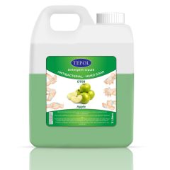 Tepol Anti Bacterial Liquid Hand Soap - Apple - 5 Liter