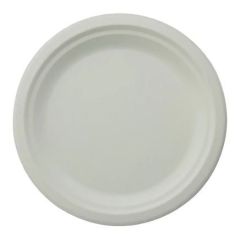 Galaxy Biodegradable 10" Paper Plate - White (Pack of 500)