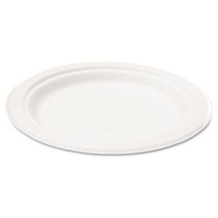 Hotpack Biodegradable  10" Round Plate - White (Pack of 125)