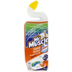 Mr Muscle Duck Visible Action Toilet Cleaner - 750ml