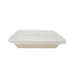 Bagasse Rectangular Container With Lid , 500ml  (Pack of 50)