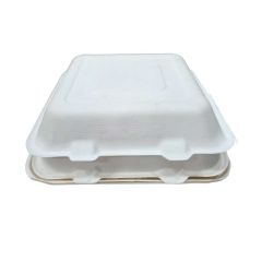 Bagasse Rectangular Container With Hinged Lid - 6" x 9" (Pack of 50)